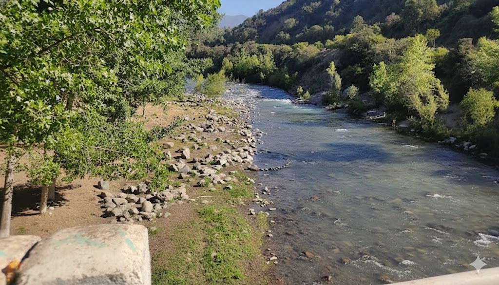 Río en Puente Negro